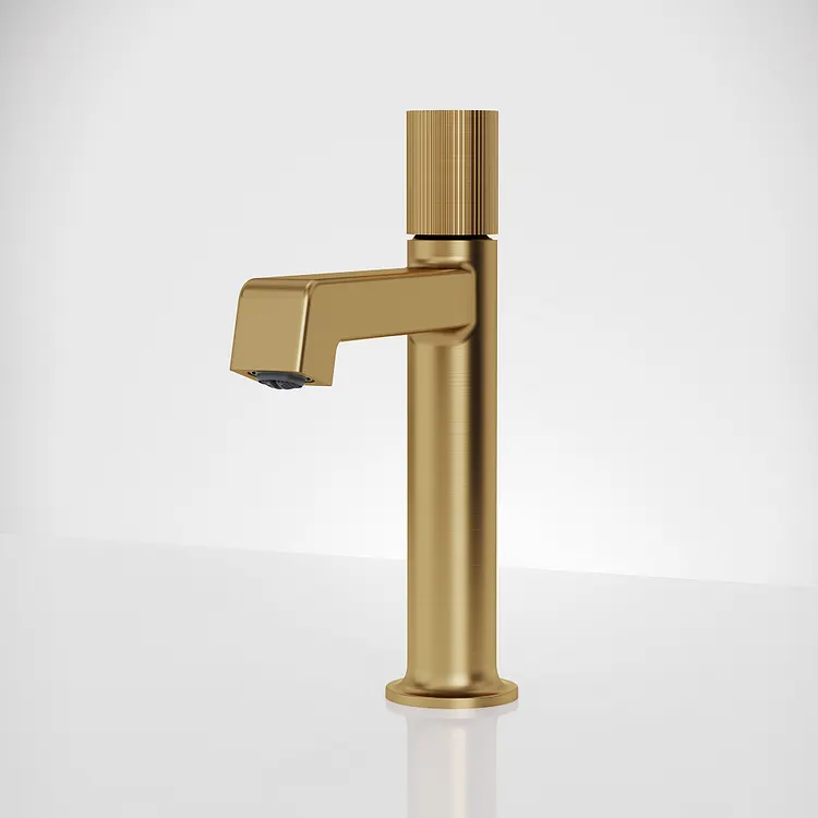 EVERSTEIN Modern Single Handle Bathroom Sink Faucet 9.53'' H in Brushed Gold
