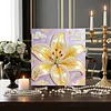 Lily DIY Pearl Painting Kit with Frame 30x30cm Pearl Gem Paintings Picture Arts Craft for Adults/Beginners Gift Home Wall Decor