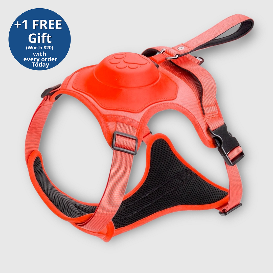 Poochbark&trade; 3 in 1 Dog Harness with Built-In Leash