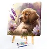 Golden Retriever Puppy-Paint by Numbers Acrylic Painting 40*40CM