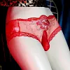 Men's U-Shaped Egg-Shaped Penis Panty Sexy Lace Transparent Mesh Plus Size Briefs
