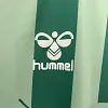 2024/2025 Real Betis Special Edition Football Shirt 1:1 Thai Quality love fball