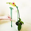 🔥2024 HOT SALE🔥Plant Support Stake