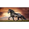 Horse-Full Round/Square Diamond Painting (80*40cm)