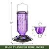Hummingbird Feeder - Leak-proof seal