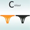 Low Rise Sexy Ice Silk Transparent Ultra Thin Seamless Thong