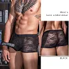 Men's Lace Transparent UnderwearS Sexy Elephant Trunk Boxer Briefs
