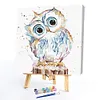 Cute Owl-Paint by Numbers Acrylic Painting 20*20cm