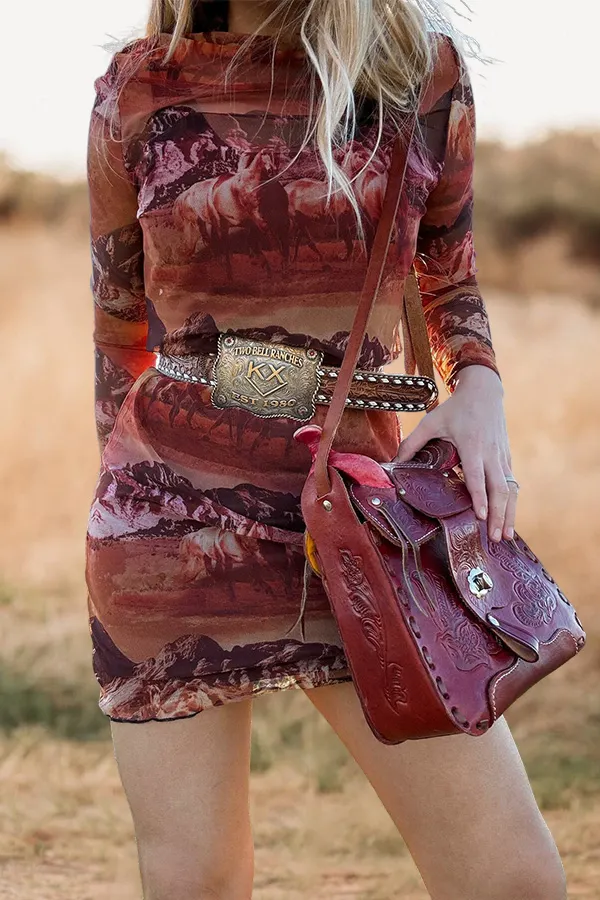 Western Print Mesh Dress