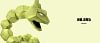 1/20 Scale World Zukan Evolution of Onix Set & Omanyte Set - Pokemon Resin Statue - VS Studio