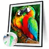 Paint by Numbers Acrylic Painting - Parrot 40*50cm