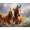 Horse-Paint by Numbers Acrylic Painting 50*40CM