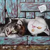 【Limited Stock Sale】Cat-Paint by Numbers Acrylic Painting 40*40cm