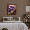 (US Local)Paint By Numbers Kit On Canvas DIY Oil Art Phalaenopsis Picture Decor40x40cm