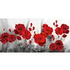 (US Local)Poppy-Paint By Numbers Kit(80x40cm)