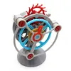 Tourbillon Gear Transmission Mechanical Model