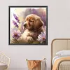 Golden Retriever Puppy-Paint by Numbers Acrylic Painting 40*40CM