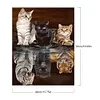 Fierce Gentle-Paint by Numbers Acrylic Painting 40*50CM