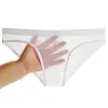 Men's Mesh Transparent Bulge Pouch Bikini Briefs Underwear Breathable Super Thin Briefs