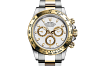 Rolex 116503 Daytona White - New