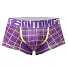 MODERN PLAID TRUNKS