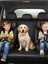 9Pcs PU Leather Car Seat Covers Universal Car Seat Protectors for Most Cars SUVs