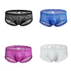 Low Waist Sexy Sheer Mesh Lace Briefs