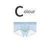 Men's Ultra-Thin Ice Mesh Transparent Sexy Boxers