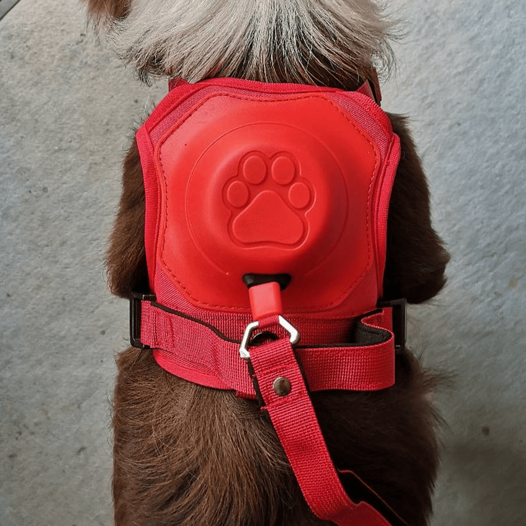 Poochbark&trade; 3 in 1 Dog Harness with Built-In Leash