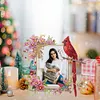 Acrylic Special Shape Cardinal and Flower Diamond Painting Picture Frame Kit