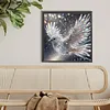 Diamond Painting -DIY Round Drill Iridescent Bird(40x40cm)