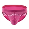 Men's Athletic Silk Underwear Low Rise Nylon Mesh Elastic Solid Pattern Sexy Briefs