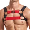 Dominator Harness