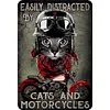 Motorcycle - Vintage Metal Signs - 20*30cm/30*40cm