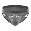Men's Athletic Silk Underwear Low Rise Nylon Mesh Elastic Solid Pattern Sexy Briefs