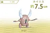 1/20 Scale World Zukan Set 4 Part 2 - Pokemon Resin Statue - SXG Studios [In Stock]