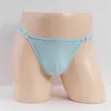 Detachable Sexy Ice Silk Stretch Sheer Low Rise Thong