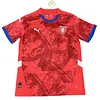 2024 Czech Republic National Team Home Football Shirt 1:1 Thai Quality love fball