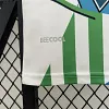 2024/2025 Real Betis Special Edition Football Shirt 1:1 Thai Quality love fball