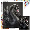 Black Swan-Full Square Diamond Painting(40x50cm)