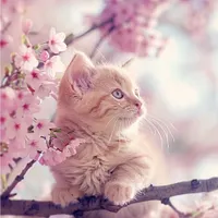 Sakura Kitten - Diamond Painting