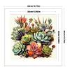 Succulent - 14CT Stamped Cross Stitch - 40*40cm - Flower