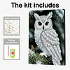 (30x40cm)DIY Pearl Painting Framed Owl  Handmade Pearl Material Art Kit Living Room Decor