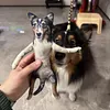 Customized Pets Human Plushie With Poseable Portable Skeleton Send Pic to bruce663@foxmail.com