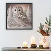 Owl-Partial Special Shaped Diamond Painting 30*30CM