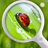 3X/10X Handheld Magnifying Glass with 20 LED Light Rechargeable for Seniors Read