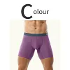 Men's Ice Silk Underwear Sexy Bulge Puch Low Rise See Through Boxer Briefs Thin Cool Boxers Shorts