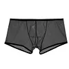 Ultra-thin U Convex Pouch Mesh Transparent Sexy Panties