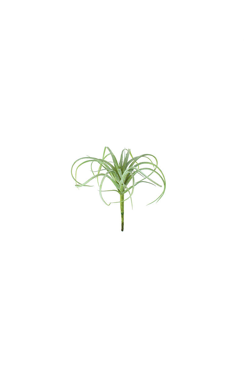 Decorate