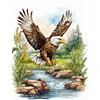 Eagle-Full Square Diamond Painting(35x45cm)